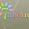 Магазин цветов "7цветик" Магазин цветов 7цветик