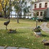 База отдыха «Плёс» База отдыха «Плёс»