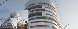 Торговый дом «Клен» Клен