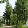 турбаза турбаза
